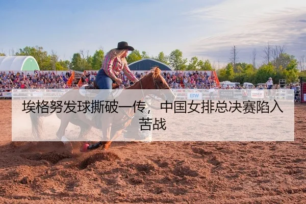 ai-ge-nu-fa-qiu-si-po-yi-chuan-zhong-guo-nv-pai-zong-jue-sai-xian-ru-ku-zhan-1-137.jpg（yaxin）